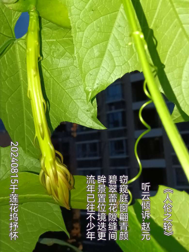 20240815222618front2_0_67899_FnVmk28rrneV8-g1RFb-8cLaJnW6.jpg