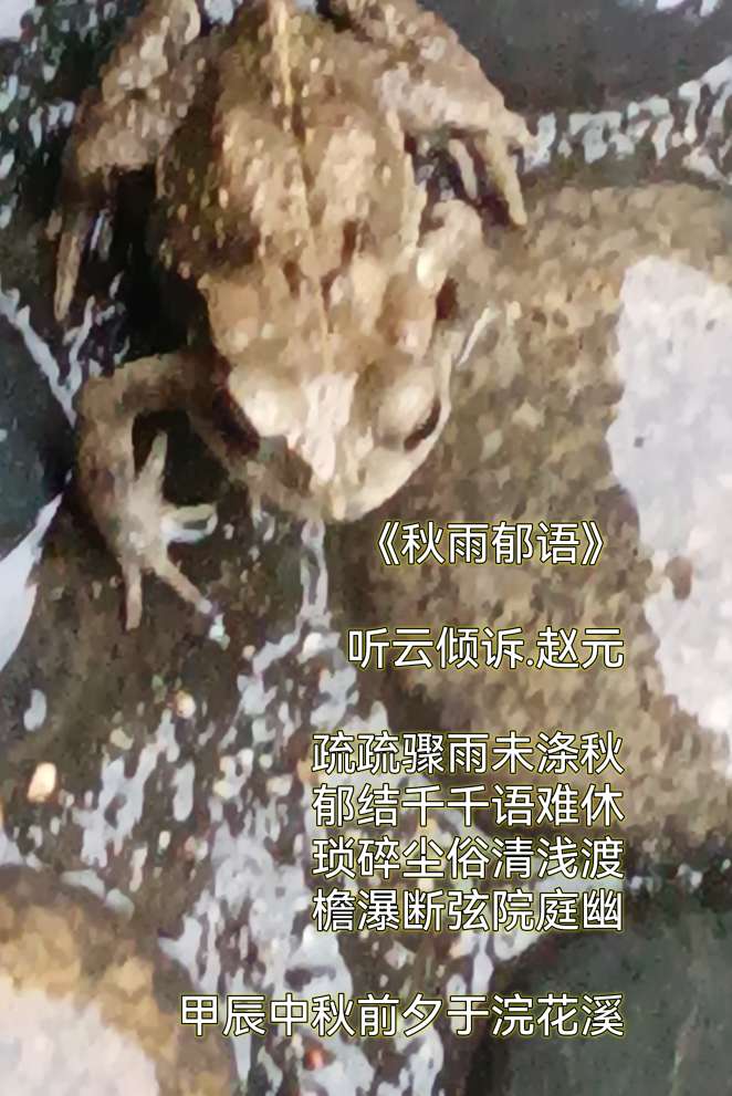 20240916152950front2_0_67899_FvxCFCr2ZVcOmq7ib_X2f0hFDKSL.jpg