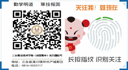105104t7sjs77fw5jtsn35.png.thumb.jpg