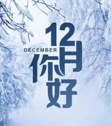 微信截图_20241203143152.png