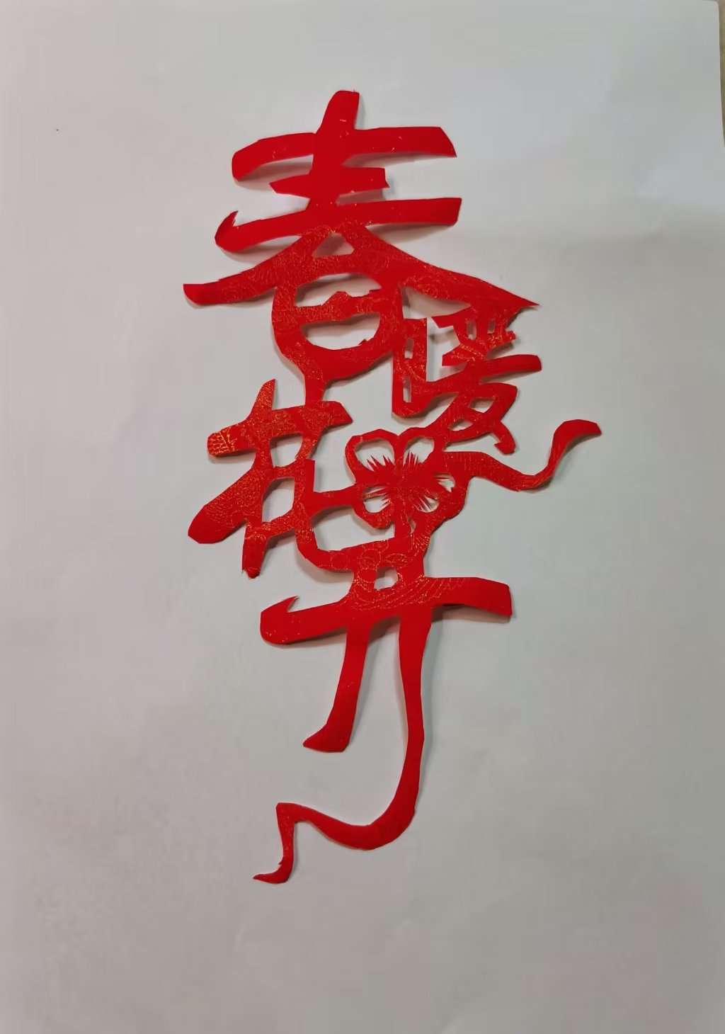 20250306151555front2_0_12905_Fomslp4FakbZU5IK_6bqrcuX2UFu.jpg