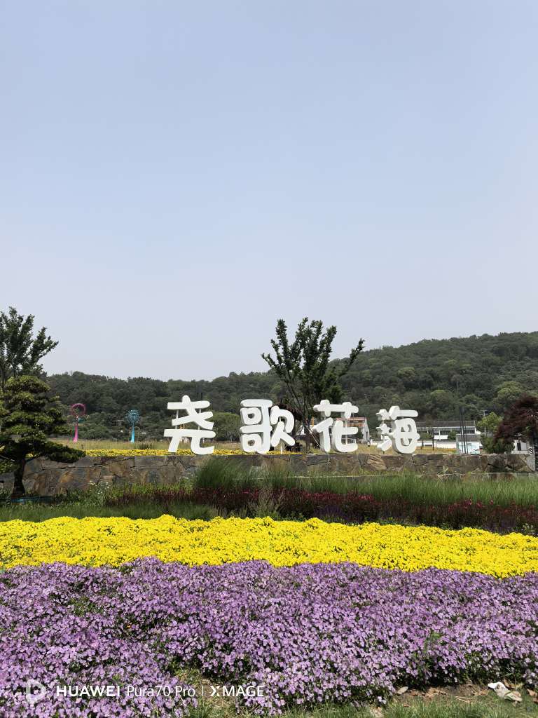 20250506144017front2_0_13785_Fvzccne-q5T73dYwXEl0xWDs2jp4.jpg