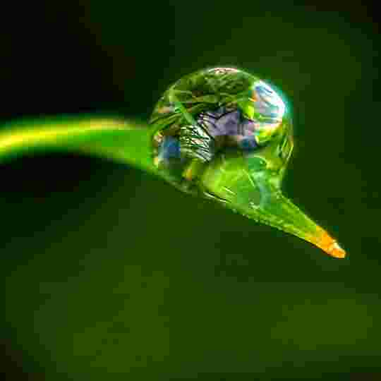 20250508130554front2_0_32715_FogwZwhazcCPLqbQpxXn45ApbCvu.jpg