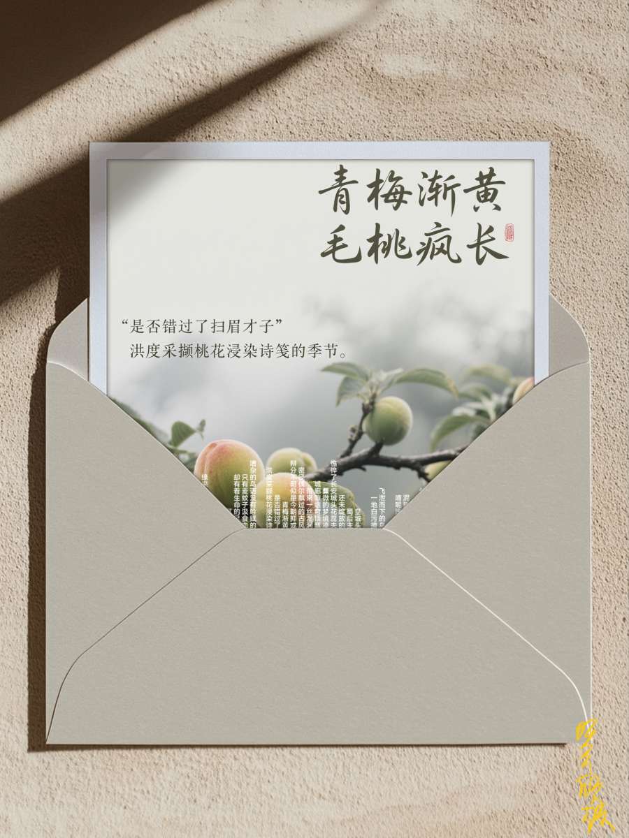 20250517162316front2_0_67899_Fs-F_42yiQlr2yW6OQh5taqaQ2SG.jpg