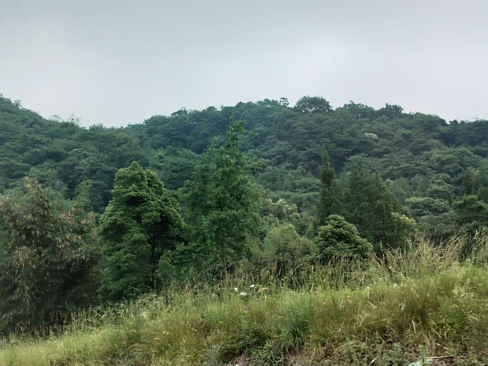 20250610034823front2_0_10610_FpLXRuhh36Krv06ifJN40FFdZmsL.jpg