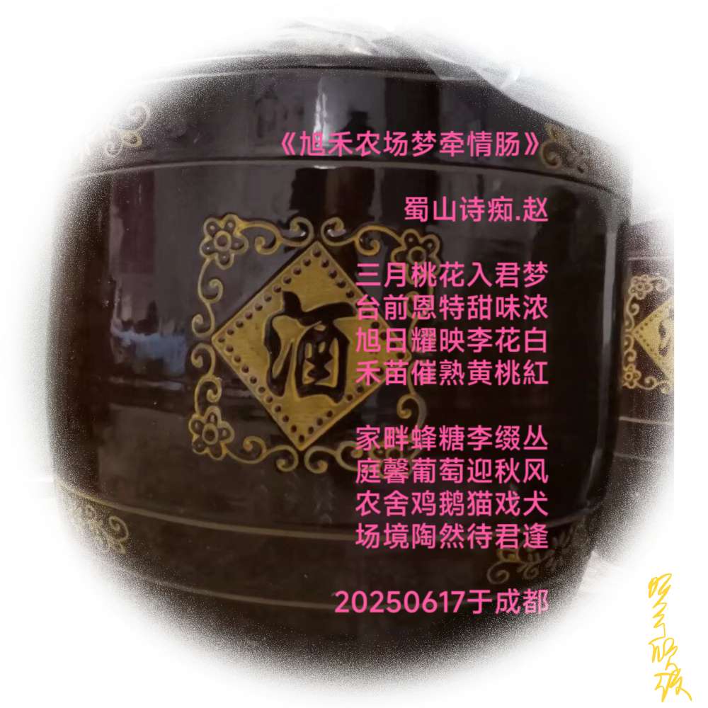 20250618002452front2_0_67899_FiH2GX15w4HSRBNi66sC1gX5Hpex.jpg