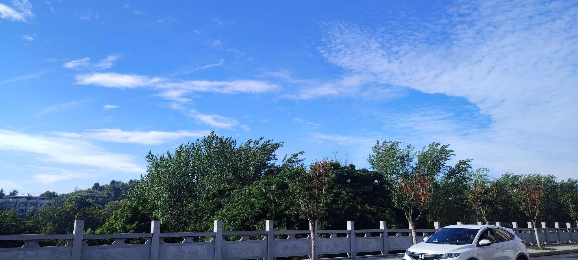 20250625151740front2_0_10610_Fp5bmQpxx20WkfDbBK4jN9HD5c63.jpg
