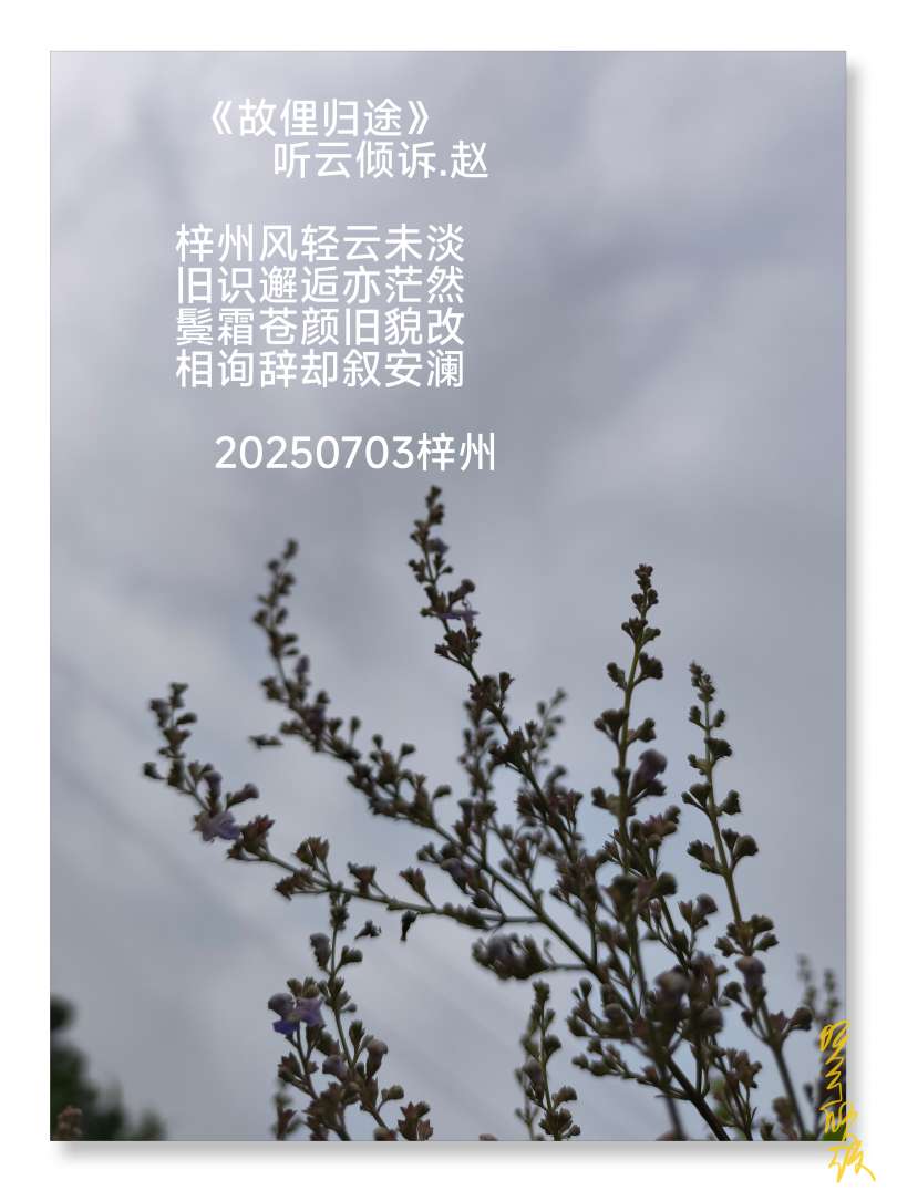 20250704202533front2_0_67899_FmzaV5NxtgItbTEqgongw2Vr2Bgi.jpg