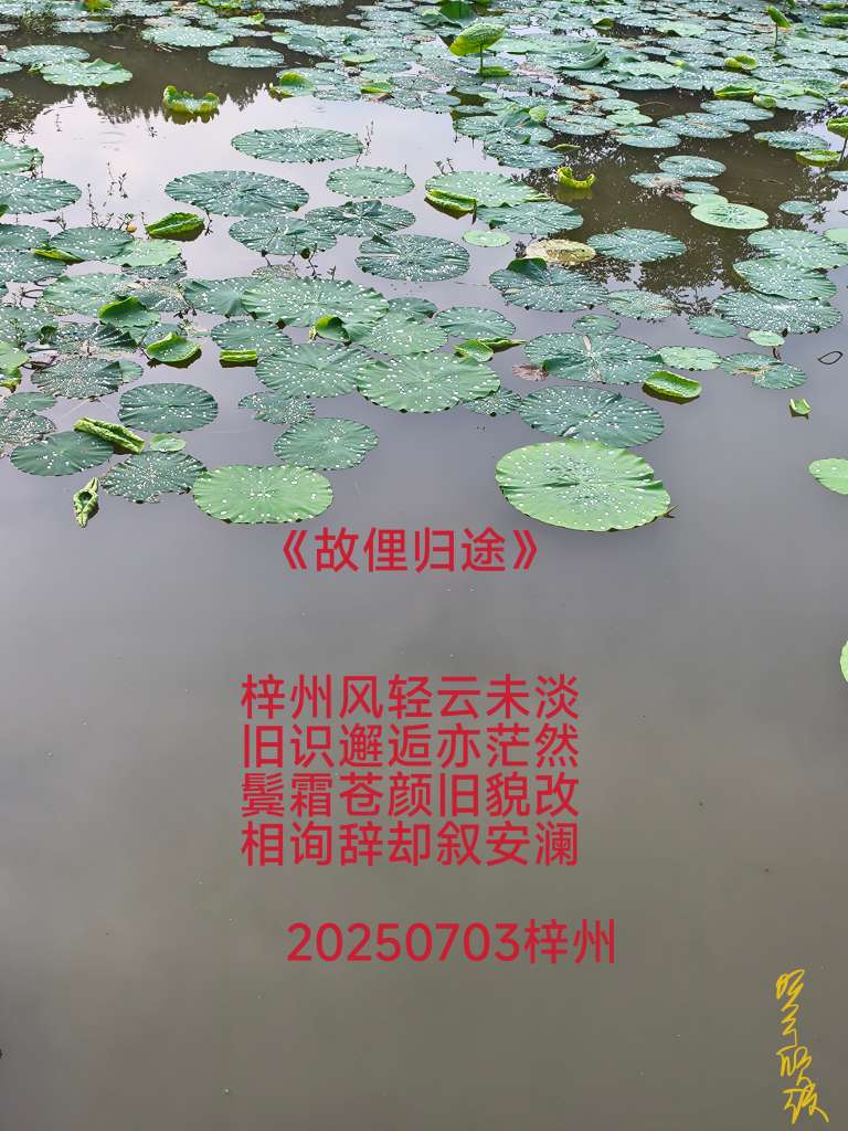 20250704202533front2_0_67899_Flw81FbwCvwW-OWoXYIx_2QQdmFo.jpg