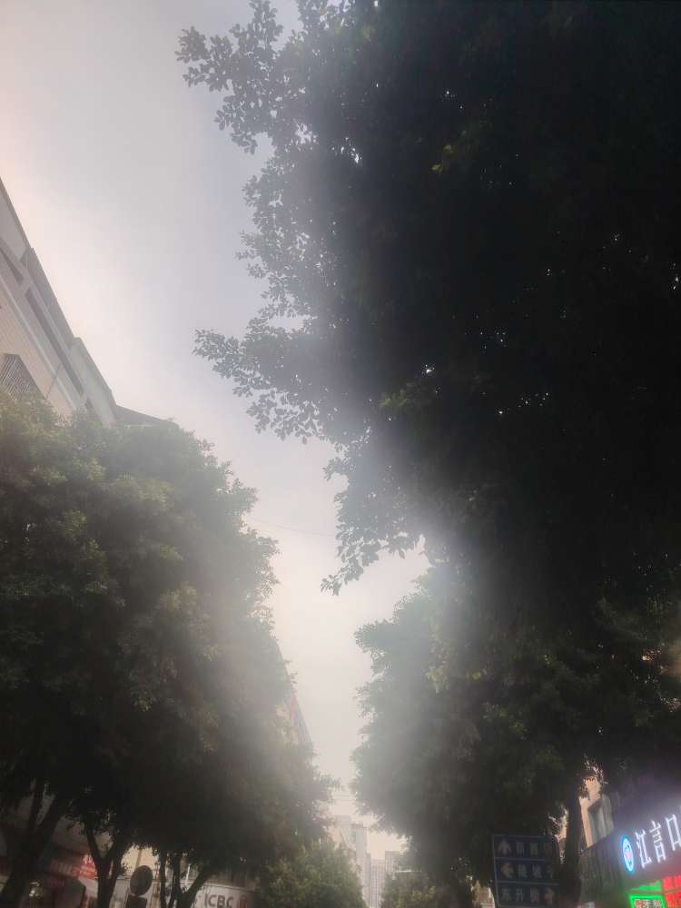 20250727231539front2_0_10610_Fk2YDMETK_heywKRkTNiWEN5aFhm.jpg