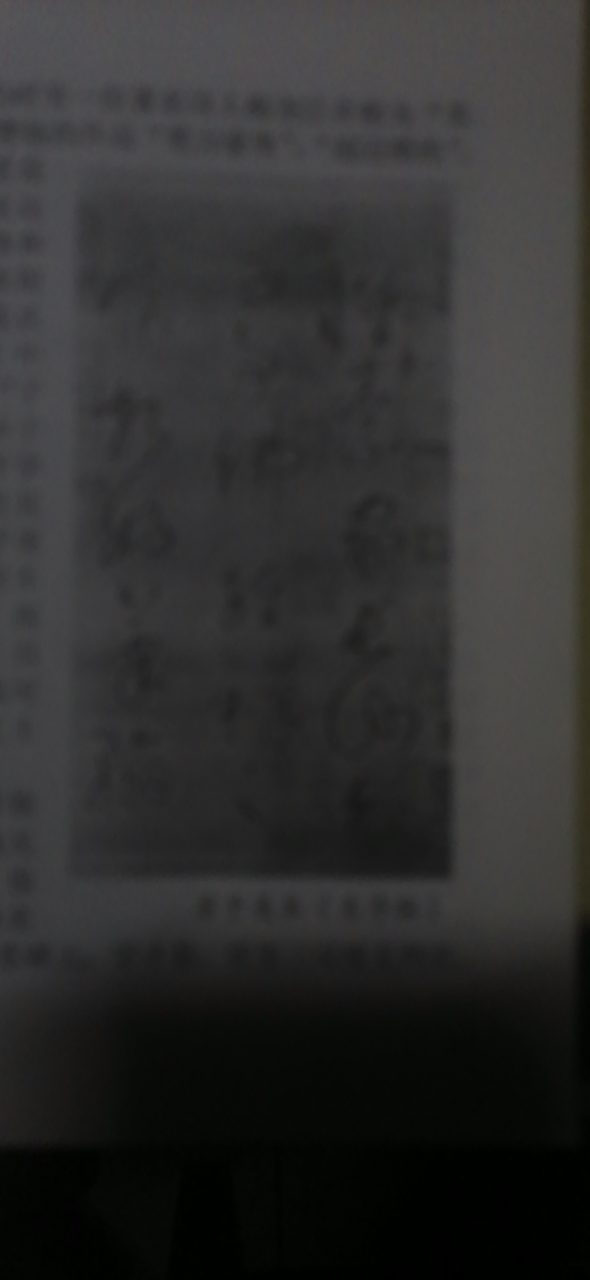 20250726135151front2_0_309_FrXUQDSKT0JALCVsDNjrIGkS3nUp.png