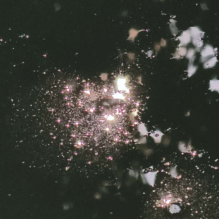 20250807232547front2_0_32715_FgVS0bC81eC3h2swu3FNU9NI0j4y.jpg