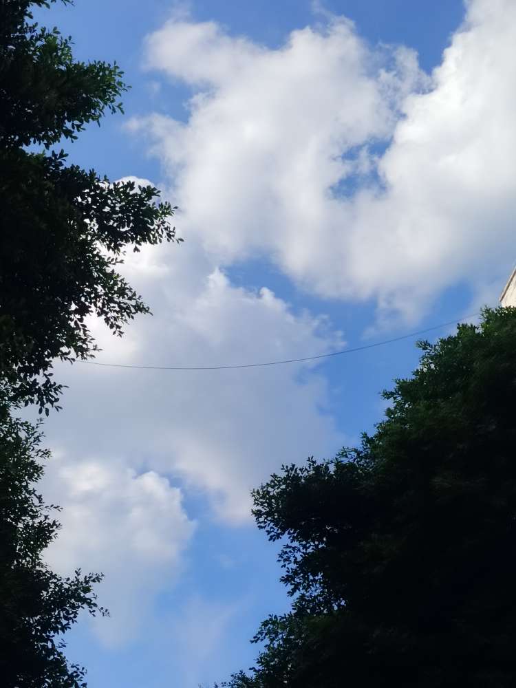 20250808041357front2_0_10610_Ft9NjROiKu_nH5eZVia96SPWLlG3.jpg