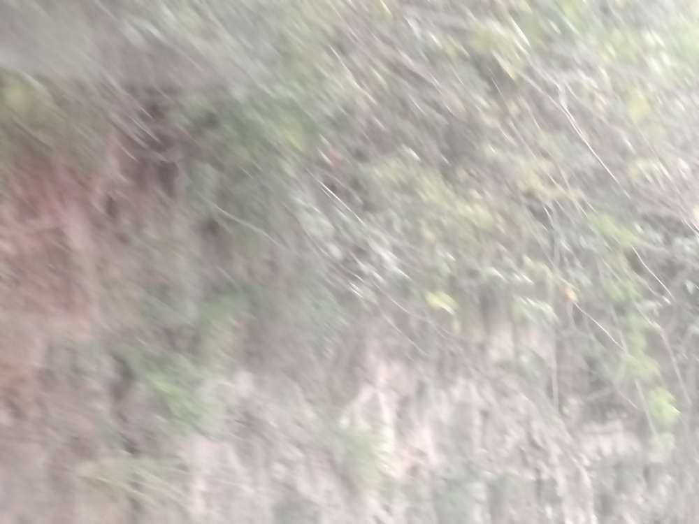 20250818132452front2_0_10610_Fg9FAzvHvrrFRmsvJgXCRJESu_MC.jpg