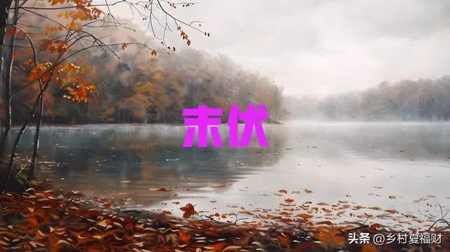 20250817104555front2_0_309_FgXBhlFpDOv0I_I7y9Oy9wgzPr0C.png