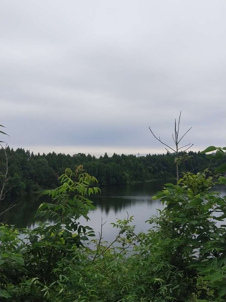 20250903234929front2_0_27624_FjqX7s-w4UcdQ5Xnaf29XTMMpfio.jpg